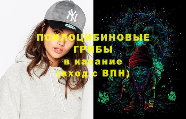 амф Алексеевка