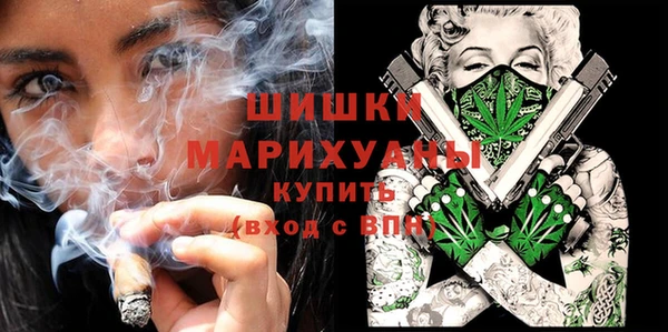индика Касимов