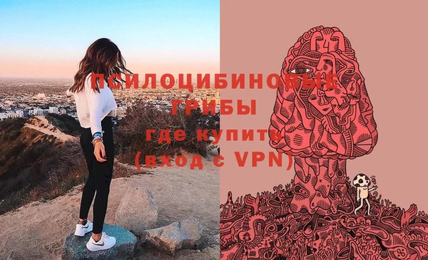 гидропоника Абдулино