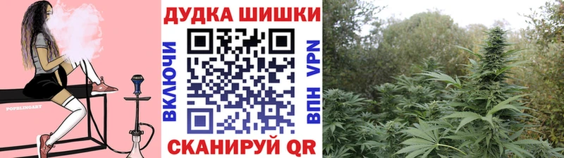 Марихуана White Widow  ссылка на мегу вход  мориарти наркотические препараты  хочу наркоту  Закаменск 